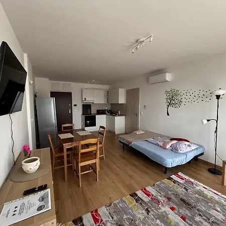 519 Family 2 Near By Heroes Square With Free Garage *